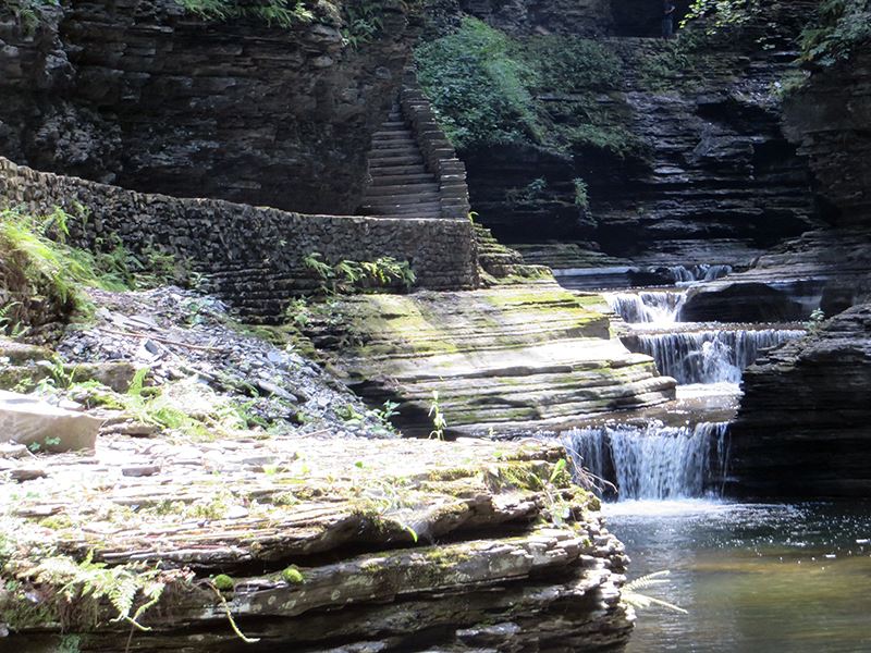 Taken by Pam Rutledge